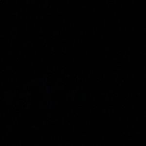 Meet your Posher, Candace